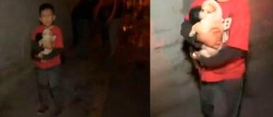 Cercado de Lima: Niño arriesga su vida por salvar a sus perros en incendio del Jirón Callao Cercado de Lima: Niño arriesga su vida por salvar a sus perros en incendio del Jirón Callao