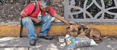 Adulto mayor se quedó sin trabajo y ahora vive en la calle con su perro Adulto mayor se quedó sin trabajo y ahora vive en la calle con su perro
