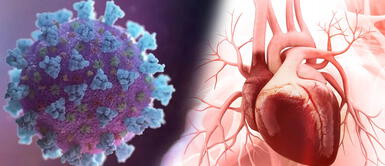 78 % de los pacientes COVID-19 recuperados desarrollan problemas cardíacos 78 % de los pacientes COVID-19 recuperados desarrollan problemas cardíacos