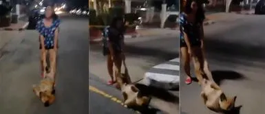 Perro no quiere regresar a casa y le hace berrinche a su mamá humana en plena calle | VIDEO Perro no quiere regresar a casa y le hace berrinche a su mamá humana en plena calle | VIDEO