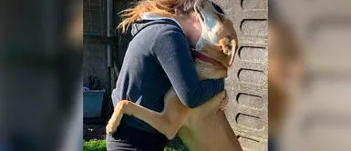 Perros rescatado conmueve al dar abrazos para que lo adopten: "Eres un 'niño' grande" Perros rescatado conmueve al dar abrazos para que lo adopten: "Eres un 'niño' grande"
