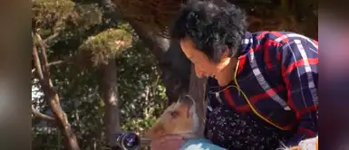 Abuelita llora por separarse del perro que adoptó cuando lo abandonaron por su parálisis Abuelita llora por separarse del perro que adoptó cuando lo abandonaron por su parálisis