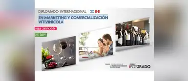 Descubre todo sobre el mundo del vino desde el marketing hasta su comercialización Descubre todo sobre el mundo del vino desde el marketing hasta su comercialización