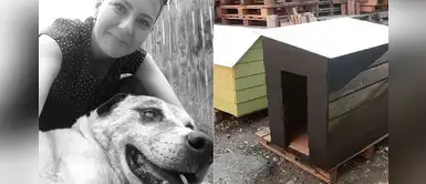 Pareja regala casitas de madera a los animales sin hogar en honor a su perro fallecido Pareja regala casitas de madera a los animales sin hogar en honor a su perro fallecido