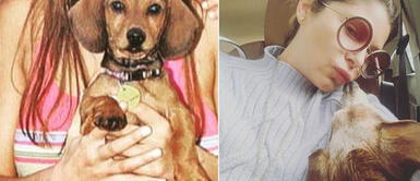 Itatí Cantoral deja sentido mensaje tras la muerte de su perro Pluto Itatí Cantoral deja sentido mensaje tras la muerte de su perro Pluto