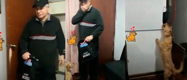 Perro cuida a su amo de la COVID-19 al entregarle todos los días su mascarilla | VIDEO Perro cuida a su amo de la COVID-19 al entregarle todos los días su mascarilla | VIDEO