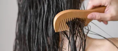 5 mascarillas hidratantes que le devolverán la vida hasta al cabello más seco 5 mascarillas hidratantes que le devolverán la vida hasta al cabello más seco