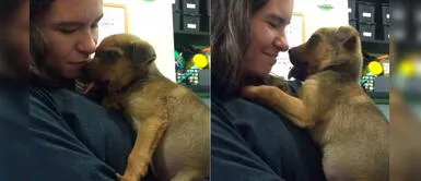 Perro con mandíbula rota agradece con tierno 'beso' a sus rescatistas por salvar su vida Perro con mandíbula rota agradece con tierno 'beso' a sus rescatistas por salvar su vida