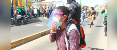 Celia Capira: Queman auto y envenenan a mascotas de mujer que corrió tras presidente Vizcarra Celia Capira: Queman auto y envenenan a mascotas de mujer que corrió tras presidente Vizcarra