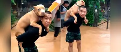 Soldado arriesgó su vida para rescatar a su atemorizado pitbull de una gran inundación Soldado arriesgó su vida para rescatar a su atemorizado pitbull de una gran inundación