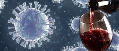 Antioxidante del vino podría reducir gravedad producida por la COVID-19 | VIDEO Antioxidante del vino podría reducir gravedad producida por la COVID-19 | VIDEO