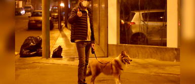 Los perros podrán ser paseados durante la inmovilización total de los domingos Los perros podrán ser paseados durante la inmovilización total de los domingos