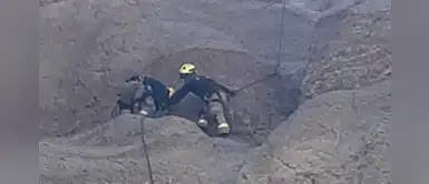 Bomberos arriesgaron sus vidas para rescatar a un perro que estuvo atrapado en un cerro Bomberos arriesgaron sus vidas para rescatar a un perro que estuvo atrapado en un cerro