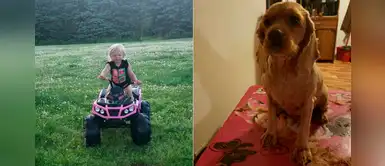 Perro cuidó a su pequeña dueña de 3 años que se perdió en el bosque durante 14 horas Perro cuidó a su pequeña dueña de 3 años que se perdió en el bosque durante 14 horas