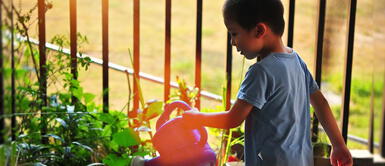 ¡No te quedes! Participa del concurso escolar sobre ahorro del agua potable ¡No te quedes! Participa del concurso escolar sobre ahorro del agua potable