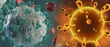 Detectan una cepa que sería más contagiosa que de la COVID-19 Detectan una cepa que sería más contagiosa que de la COVID-19