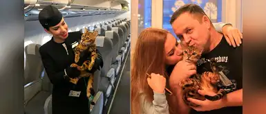 Inician campaña para que perros y gatos viajen en cabina: "No somos equipaje" Inician campaña para que perros y gatos viajen en cabina: "No somos equipaje"