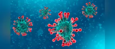 Científica encontró el punto débil de la COVID-19 que serviría para neutralizarlo Científica encontró el punto débil de la COVID-19 que serviría para neutralizarlo