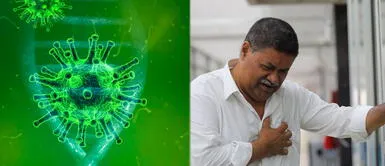 Los genes que permiten entrar al virus a las células del corazón se activan con la edad, según estudio Los genes que permiten entrar al virus a las células del corazón se activan con la edad, según estudio