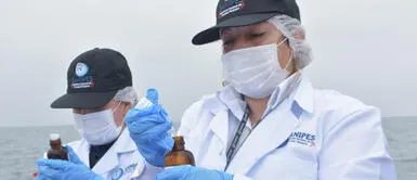 Aprueban métodos para vigilancia de enfermedades que afectan recursos hidrobiológicos Aprueban métodos para vigilancia de enfermedades que afectan recursos hidrobiológicos