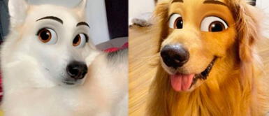 Perros enternecen con filtro de caricatura en redes. ¡Aprende hacer el tuyo! Perros enternecen con filtro de caricatura en redes. ¡Aprende hacer el tuyo!