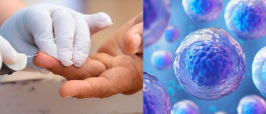 ¡Atención! Un tratamiento con células madre ofrece esperanzas a los pacientes diabéticos ¡Atención! Un tratamiento con células madre ofrece esperanzas a los pacientes diabéticos