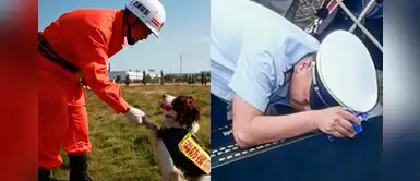 Soldado se quebró en llanto durante el entierro de su perrito tras haberlo tenido 12 años Soldado se quebró en llanto durante el entierro de su perrito tras haberlo tenido 12 años