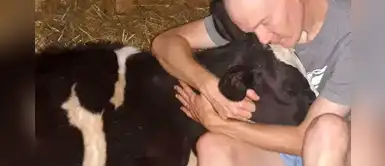 "Es tan linda", dice hombre que abraza diariamente a vaca rescatada de un triste final "Es tan linda", dice hombre que abraza diariamente a vaca rescatada de un triste final
