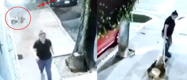 Mujer arrastra a tres perros por la calle y los amarra en puerta de una veterinaria Mujer arrastra a tres perros por la calle y los amarra en puerta de una veterinaria