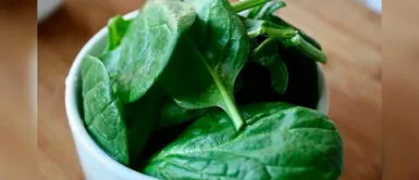 Espinaca: El superalimento que ayuda a fortalecer nuestro sistema inmune Espinaca: El superalimento que ayuda a fortalecer nuestro sistema inmune