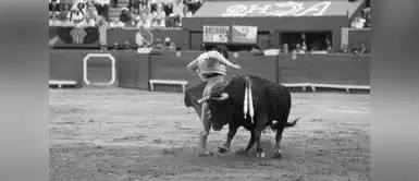 Municipalidad de Lima: Aprueban que Plaza de Acho no sea usada para corrida de toros Municipalidad de Lima: Aprueban que Plaza de Acho no sea usada para corrida de toros