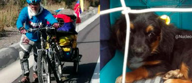 Venezolano y su perro viajaron más de 4 mil kilómetros en bicicleta para volver a su país Venezolano y su perro viajaron más de 4 mil kilómetros en bicicleta para volver a su país