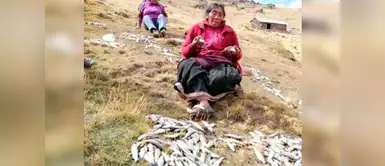 Envenenan truchas de humildes ancianitos de Apurimac: Perdieron su único sustento Envenenan truchas de humildes ancianitos de Apurimac: Perdieron su único sustento