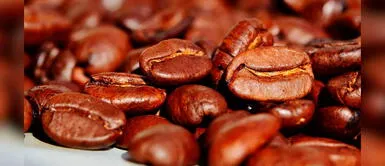 Conoce los beneficios del café para la salud en invierno Conoce los beneficios del café para la salud en invierno