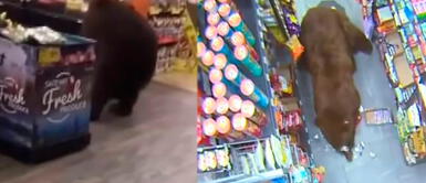 Osos pardos sorprenden a miles al entrar a dos tiendas para comer dulces | VIDEO Osos pardos sorprenden a miles al entrar a dos tiendas para comer dulces | VIDEO