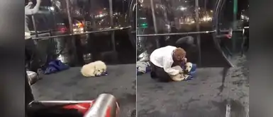 Hombre decidió utilizar su chaleco para abrigar a un perro abandonado que tiritaba de frío Hombre decidió utilizar su chaleco para abrigar a un perro abandonado que tiritaba de frío