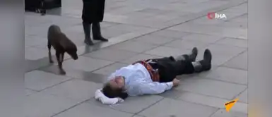 Perro sin hogar paraliza una obra teatral y ayuda al actor que "estaba herido" | VIDEO Perro sin hogar paraliza una obra teatral y ayuda al actor que "estaba herido" | VIDEO