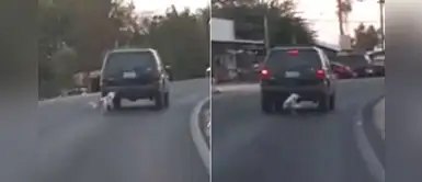 Denuncian a sujeto que arrastraba en su camioneta a un perro que luchaba por escapar Denuncian a sujeto que arrastraba en su camioneta a un perro que luchaba por escapar