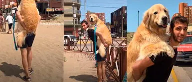 Joven enamora al cargar a su perro para evitar que se queme las patitas | VIDEO Joven enamora al cargar a su perro para evitar que se queme las patitas | VIDEO