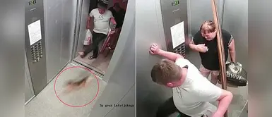 Maltrato animal: hombre podría enfrentar 6 meses de prisión por dejar malherido a un perro Maltrato animal: hombre podría enfrentar 6 meses de prisión por dejar malherido a un perro