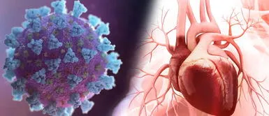 ¿Si soy paciente asintomático la COVID-19 me afecta el corazón? ¿Si soy paciente asintomático la COVID-19 me afecta el corazón?