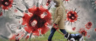 COVID-19: el gráfico que muestra el riesgo de contagio de coronavirus según la actividad que hagas COVID-19: el gráfico que muestra el riesgo de contagio de coronavirus según la actividad que hagas