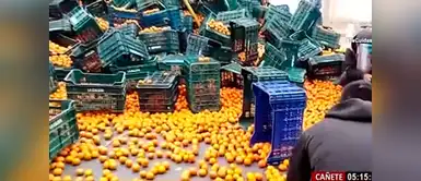 Camión con toneladas de mandarinas se vuelca y ciudadanos ayudan a recoger las frutas Camión con toneladas de mandarinas se vuelca y ciudadanos ayudan a recoger las frutas