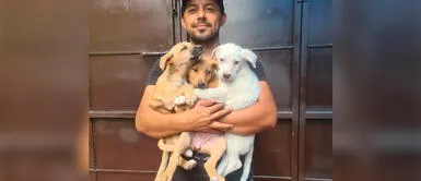 Joven se conmueve y decide llevar a 3 perritos que estaban en un terreno abandonado Joven se conmueve y decide llevar a 3 perritos que estaban en un terreno abandonado