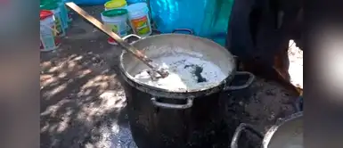 Cusco: Adulteran miel usando azúcar y hierbas. Un peligro para el consumo humano Cusco: Adulteran miel usando azúcar y hierbas. Un peligro para el consumo humano