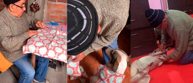 Abuelito enamora al coser la chompa de su perrito para que no sienta frío | VIDEO Abuelito enamora al coser la chompa de su perrito para que no sienta frío | VIDEO