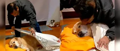 Papá que no quería un perrito en casa, ahora lo arropa y da besos para dormir Papá que no quería un perrito en casa, ahora lo arropa y da besos para dormir