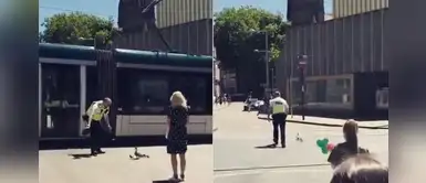 Policía detiene el transito para que una pequeña familia de patos cruce la calle Policía detiene el transito para que una pequeña familia de patos cruce la calle