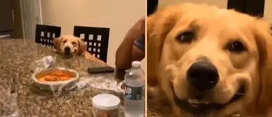 Perrito 'sonríe' para que su mamá humana le comparta un poco de su comida | VIDEO Perrito 'sonríe' para que su mamá humana le comparta un poco de su comida | VIDEO
