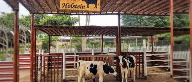 Parque de las Leyendas ofrecerá recorrido virtual gratuito por la granja interactiva Parque de las Leyendas ofrecerá recorrido virtual gratuito por la granja interactiva